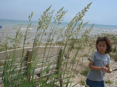 2002_prudenville