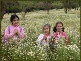 Amanda, Matilde and Paloma