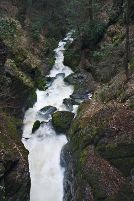 CRW_0688.jpg