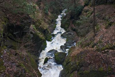 CRW_0689.jpg