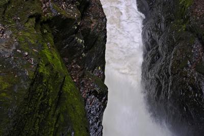 CRW_0693.jpg