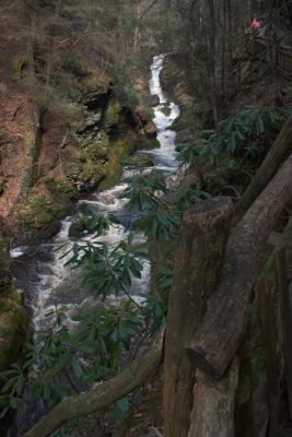 CRW_0703.jpg