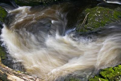 CRW_0710.jpg