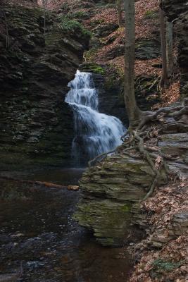 CRW_0748.jpg