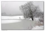 Seward Road Pond