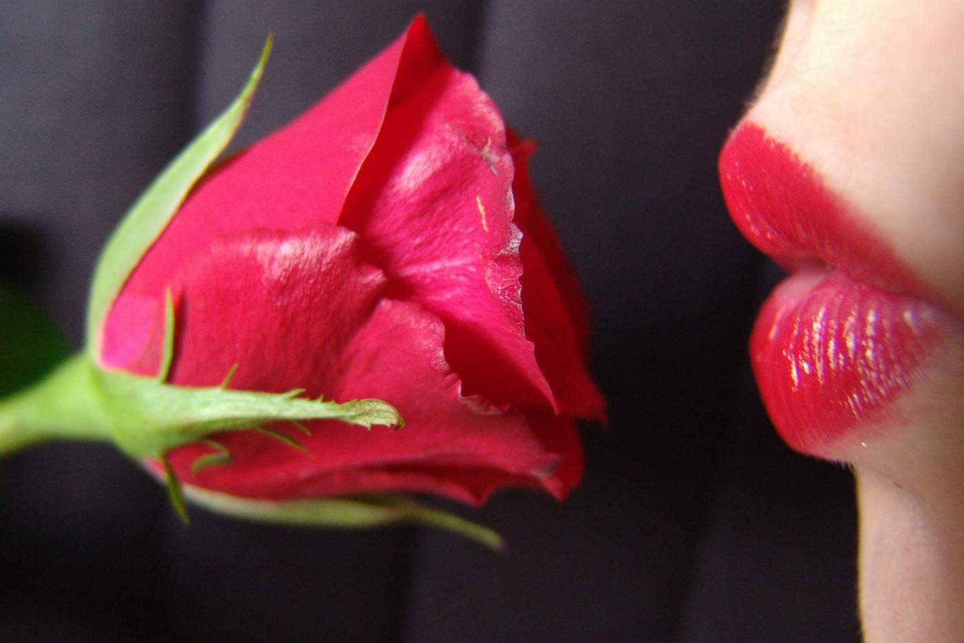 Rose and lips