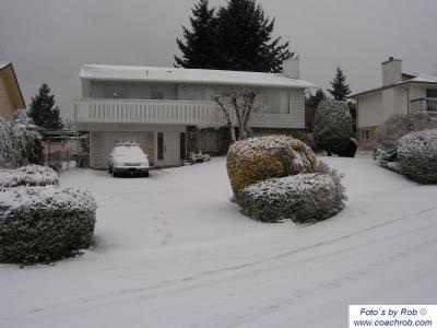 snow0010.jpg