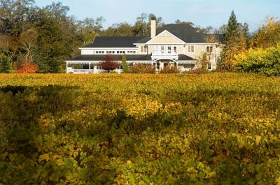 Duckhorn winery