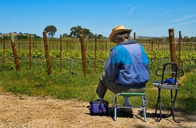 Artist in the vineyard