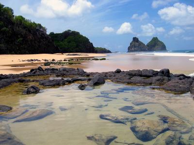 Natural pool.jpg