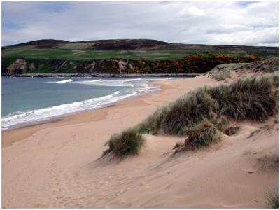 beach3.jpg