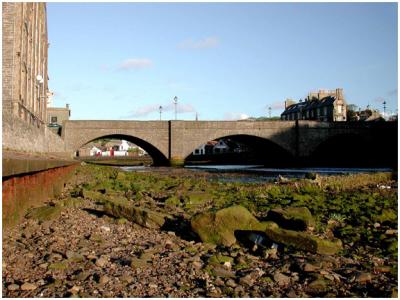 bridge2.jpg
