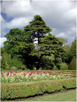 dunrobinGarden.jpg