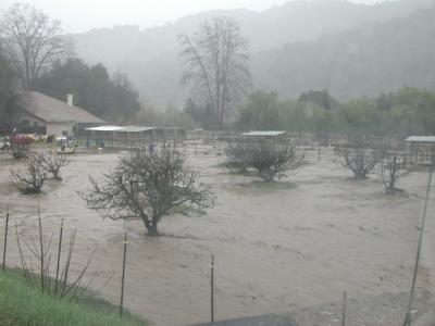 Stalls flooded at Arnaz Grade