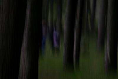 u13/ruthemily/medium/42511281.lurking2web.jpg