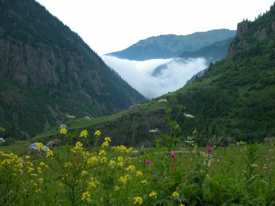 kale-basyayla