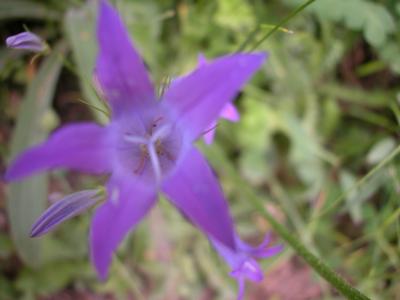 DSCN0010-2.JPG