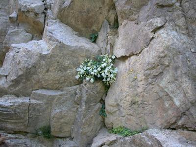 DSCN0066-2.JPG