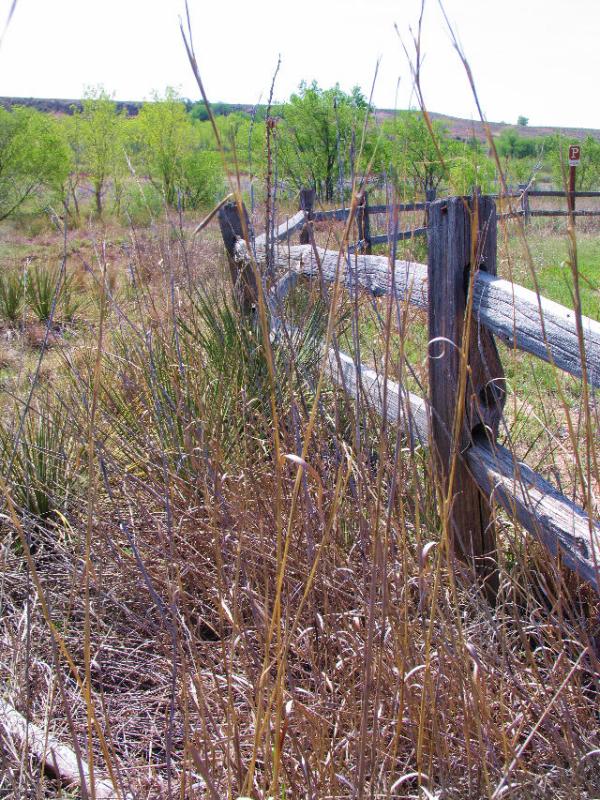 Split Rail