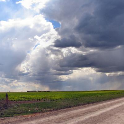 Spring Rainstorm