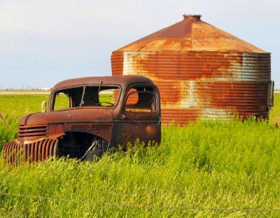 Found at an abandon farm east of Amarillo.