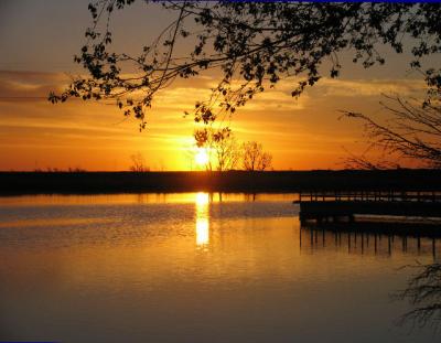I love to think of nature as an unlimited broadcasting station through
which God speaks to us every hour, if we will only tune in.
-  George Washington Carver