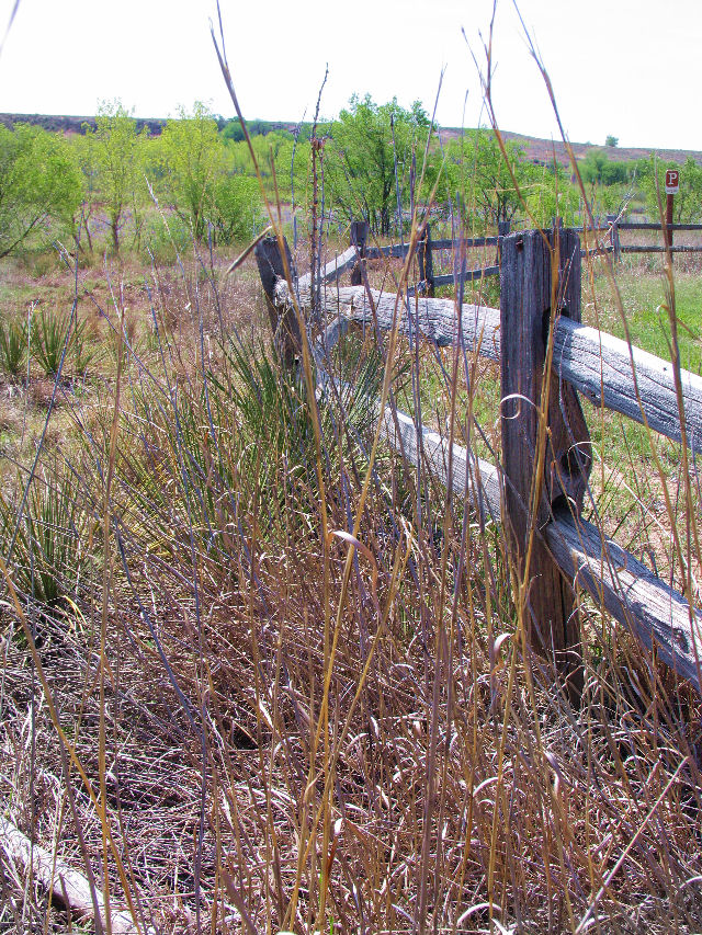 Split Rail