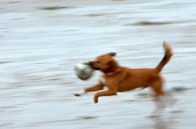 PLAYING BALL