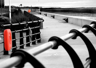 SEA WALL