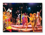 <b>Festival of the Lion King</b><br><font size=2>Animal Kingdom