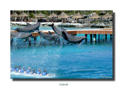 Xcaret