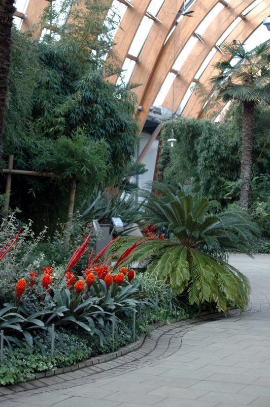 Winter Gardens