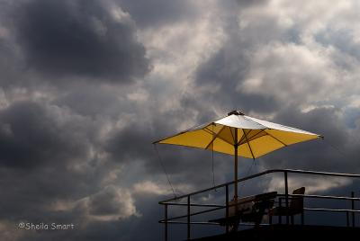 Umbrella at Surf Club
