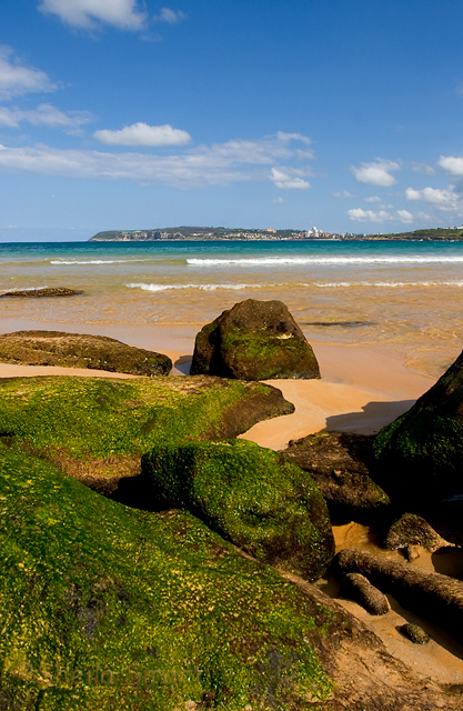 Rocks at Curl Curl