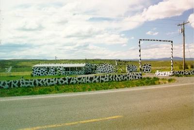 may99-1.jpg