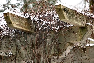 Luscious arbors pruned for winter
