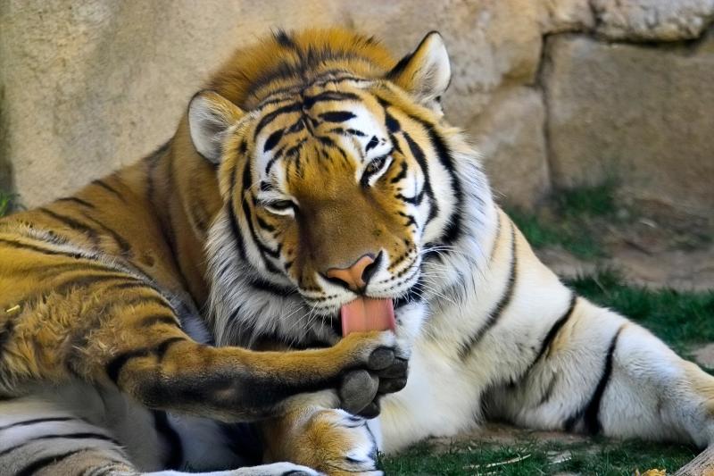 Relaxation With A Watchful Eye