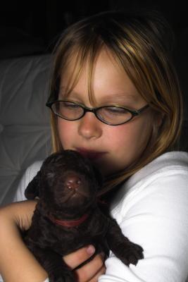 Girl and Her Puppy