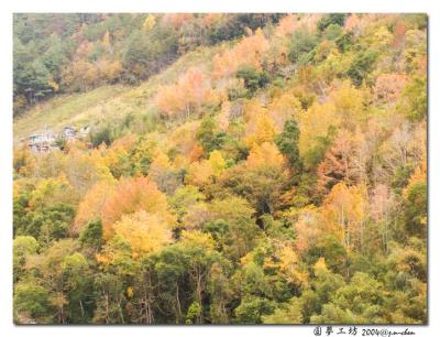 CRW_0158.jpg