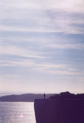 Pommy above cliff at Bayside.jpg