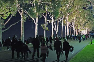 Early Morning - Fraser Ave, Kings Park