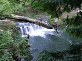 Log on Waterfall, Bellingham