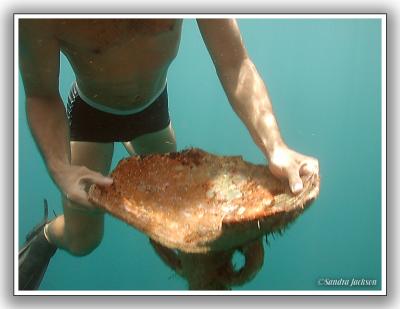 Ancient water jug - Chania