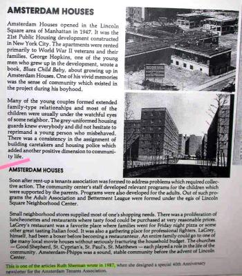 u13/skelzie/medium/3427725.AmsterdamArticle.jpg