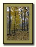 fall_musings