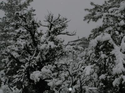 Jan 05 Snow