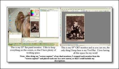 psp_journeyman_i_homework