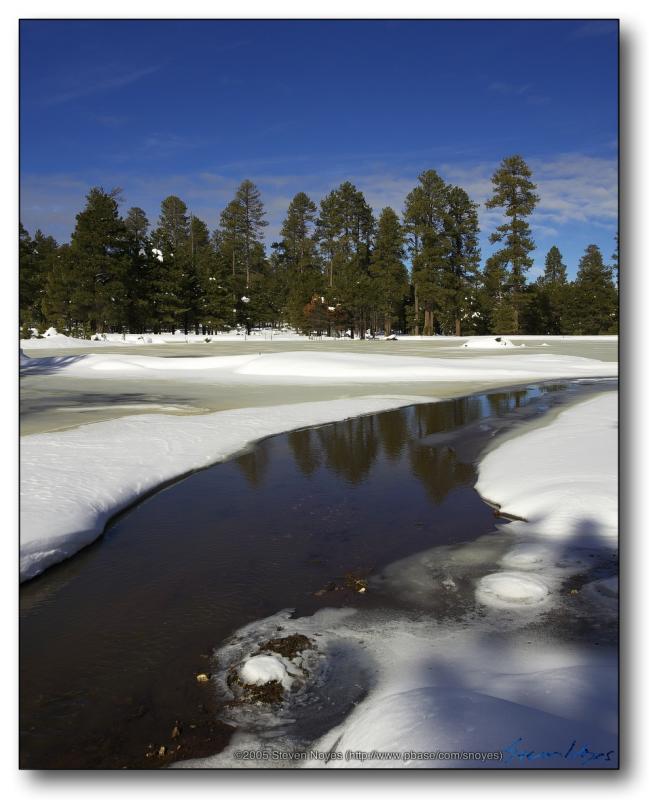 Image 7 (Forest Lakes)