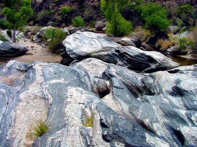 Sabino Canyon 2