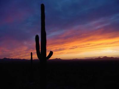 Saguaro NP Sunset